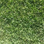 Sapphire Soft Leaf Buffalo